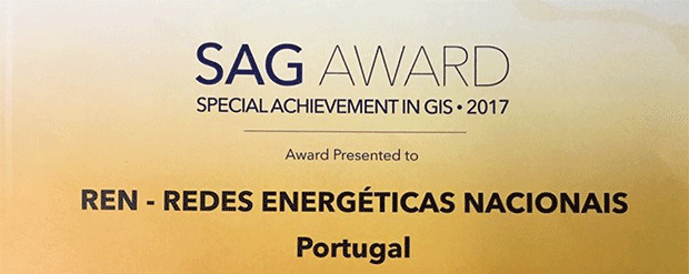 sag award