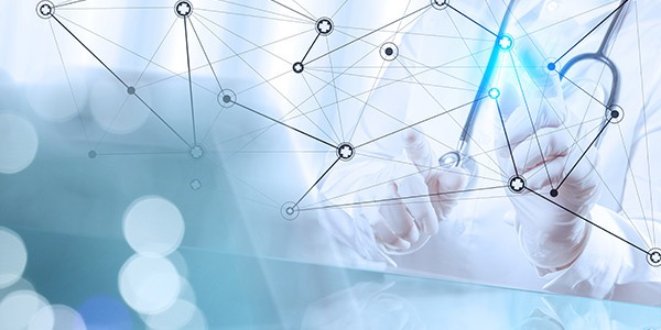 The NAVIPHY project falls within the Ministry of Science, Research and Universities’ research challenges R&D call