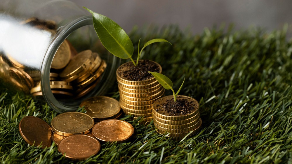Sostenibilidad financiera