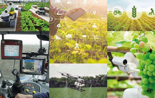 Observatorio de la Digitalización del Sector Agroalimentario