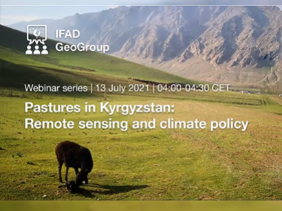 IFAD webinar series