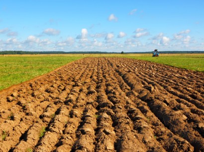 Agricultural field