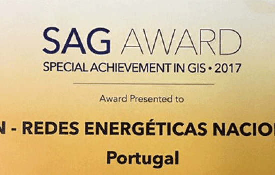 sag award