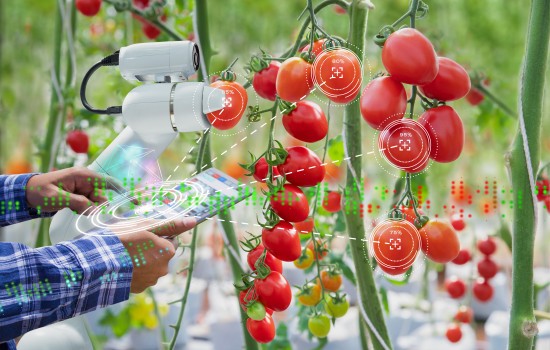 Proyecto AgrarIA investigará la aplicación de la IA a la cadena de valor de la producción agrícola 