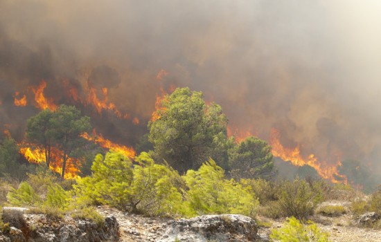 Incendios forestales 