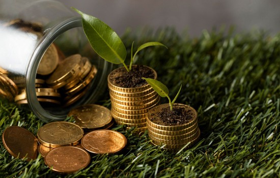 Sostenibilidad financiera