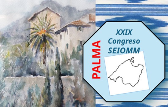 GMV en SEIOMM