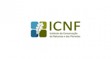 icnf