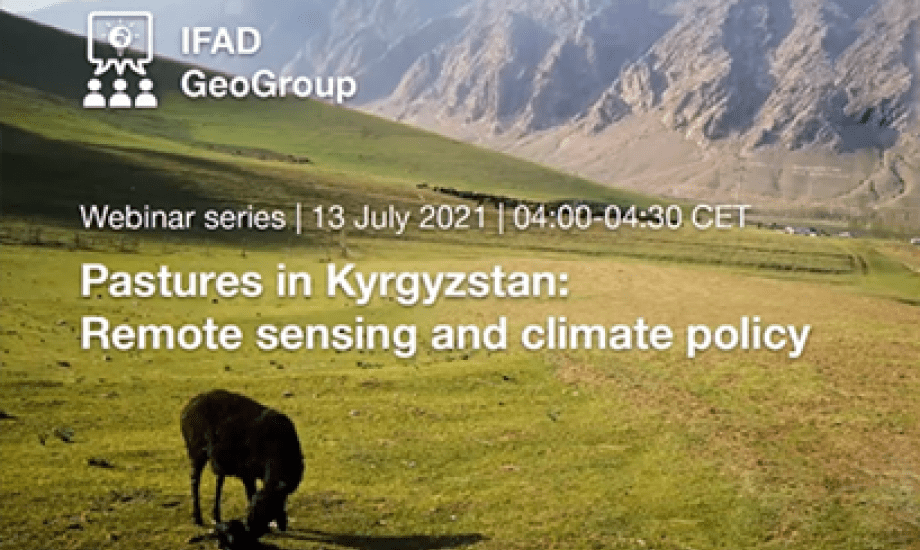 IFAD webinar series